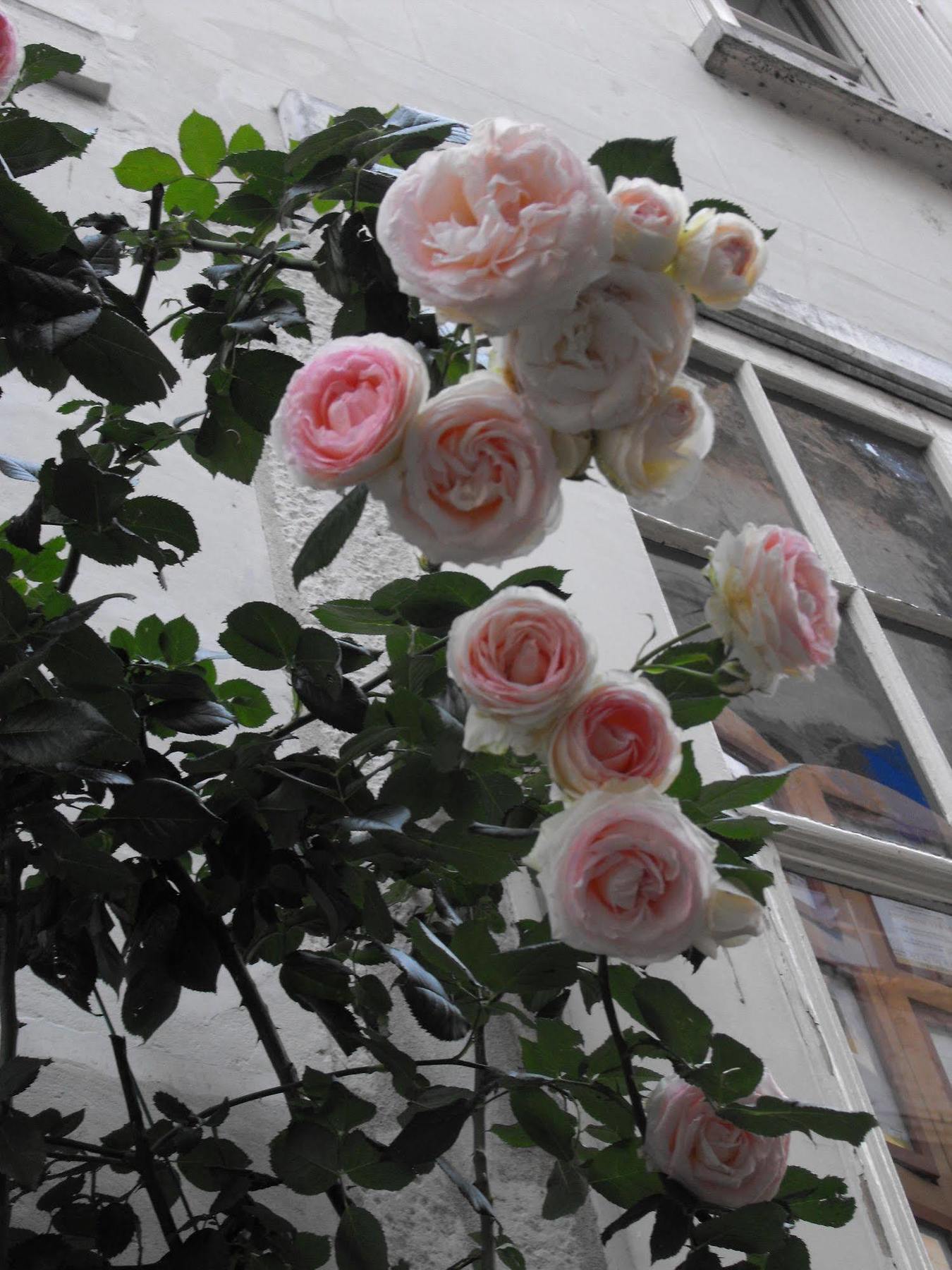 Bed and Breakfast La Demeure Saint-Ours Loches Exterior foto